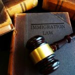 Immigration Law concept