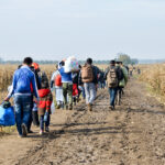 Group of War Refugees walking in cornfield. Syrian refugees crossing border to reach EU. Iraqi and Afghans. Balkans Route. Migrants on their way to European Union. Large group of people immigrate