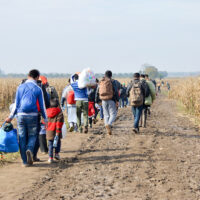 Refugees and migrants walking on fields. Group of refugees from Syria and Afghanistan on their way to EU. Balkan route. Thousands of refugees on border between Croatia and Serbia in autumn 2015.