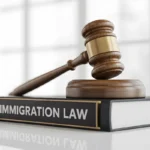 a-wooden-gavel-rests-on-a-book-titled-immigration-law-against-a-bright